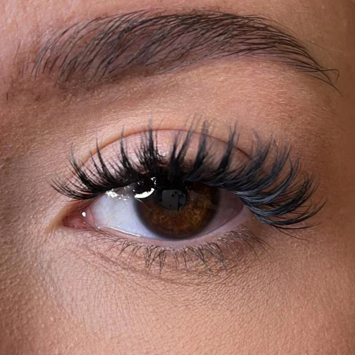 Pre-Glued Lash Clusters – Kia (Dense & Fluffy)