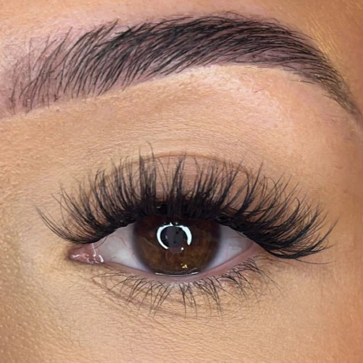 Pre-Glued Lash Clusters – Kia (Dense & Fluffy)
