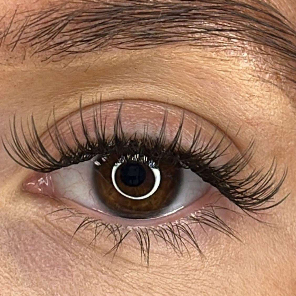Lash Ribbon – Tara, D Curl