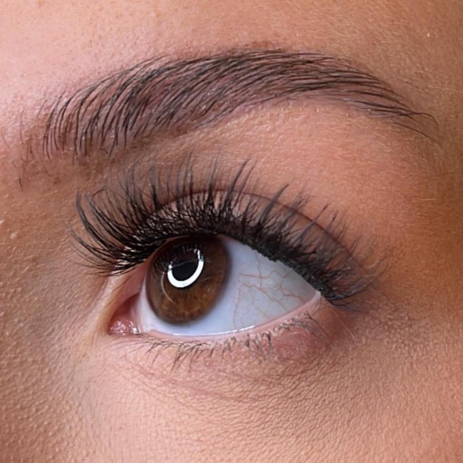 Pre-Glued Lash Clusters – Ivy (Wispy Volume)