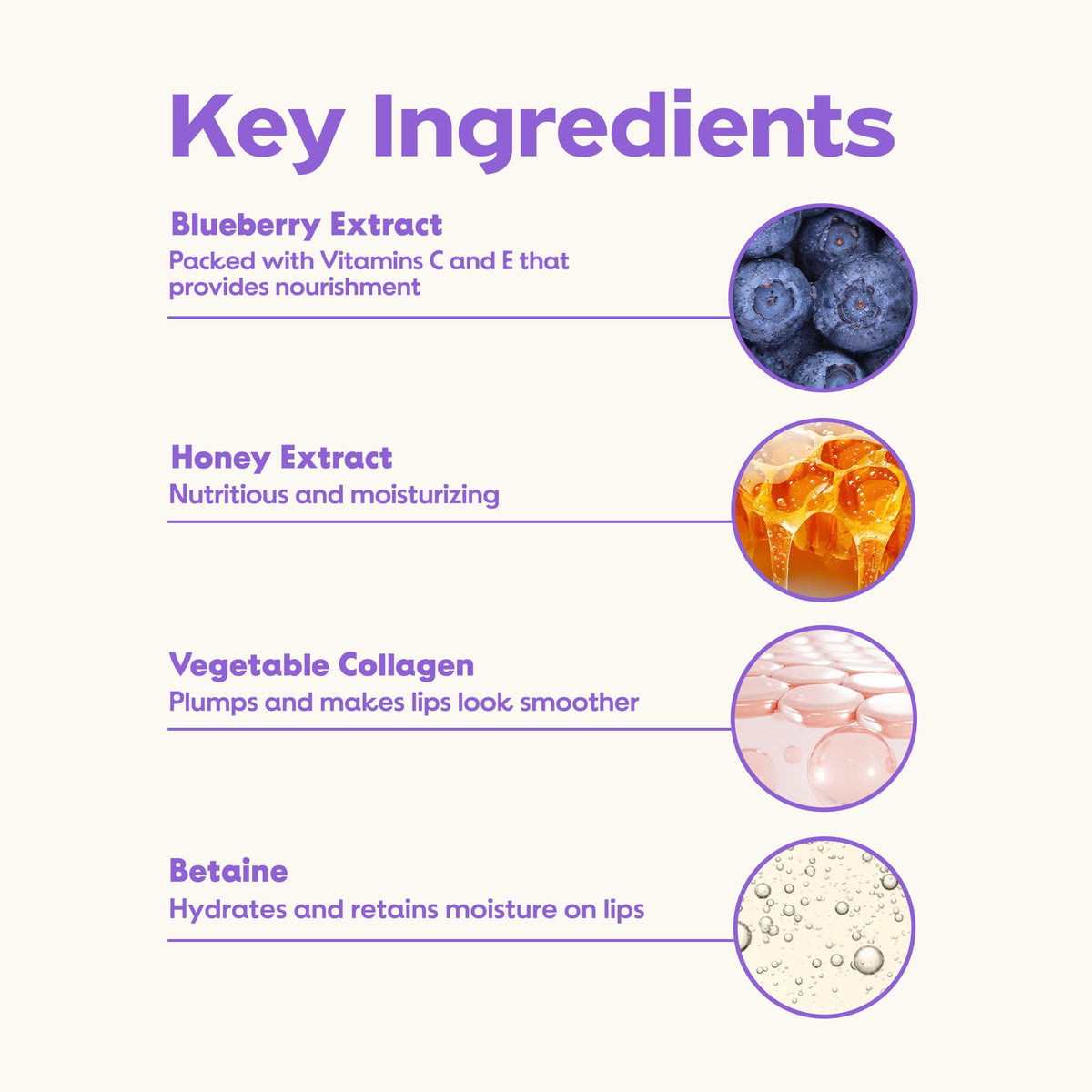 Frudia Blueberry Honey Lip Balm