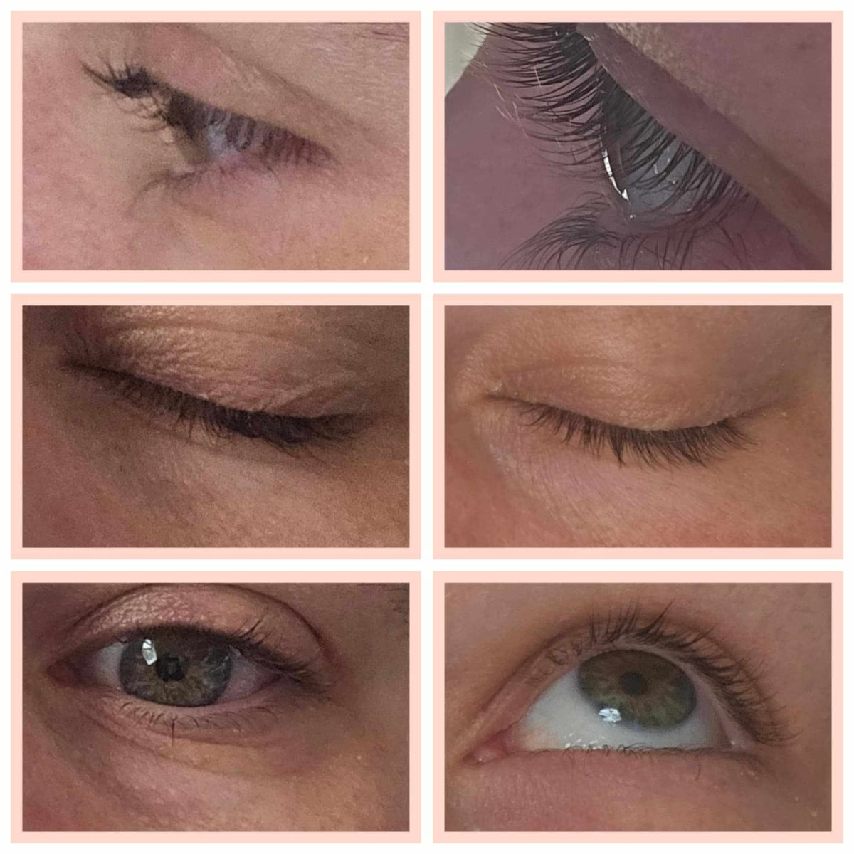 Lash & Brow Serum (6ml)