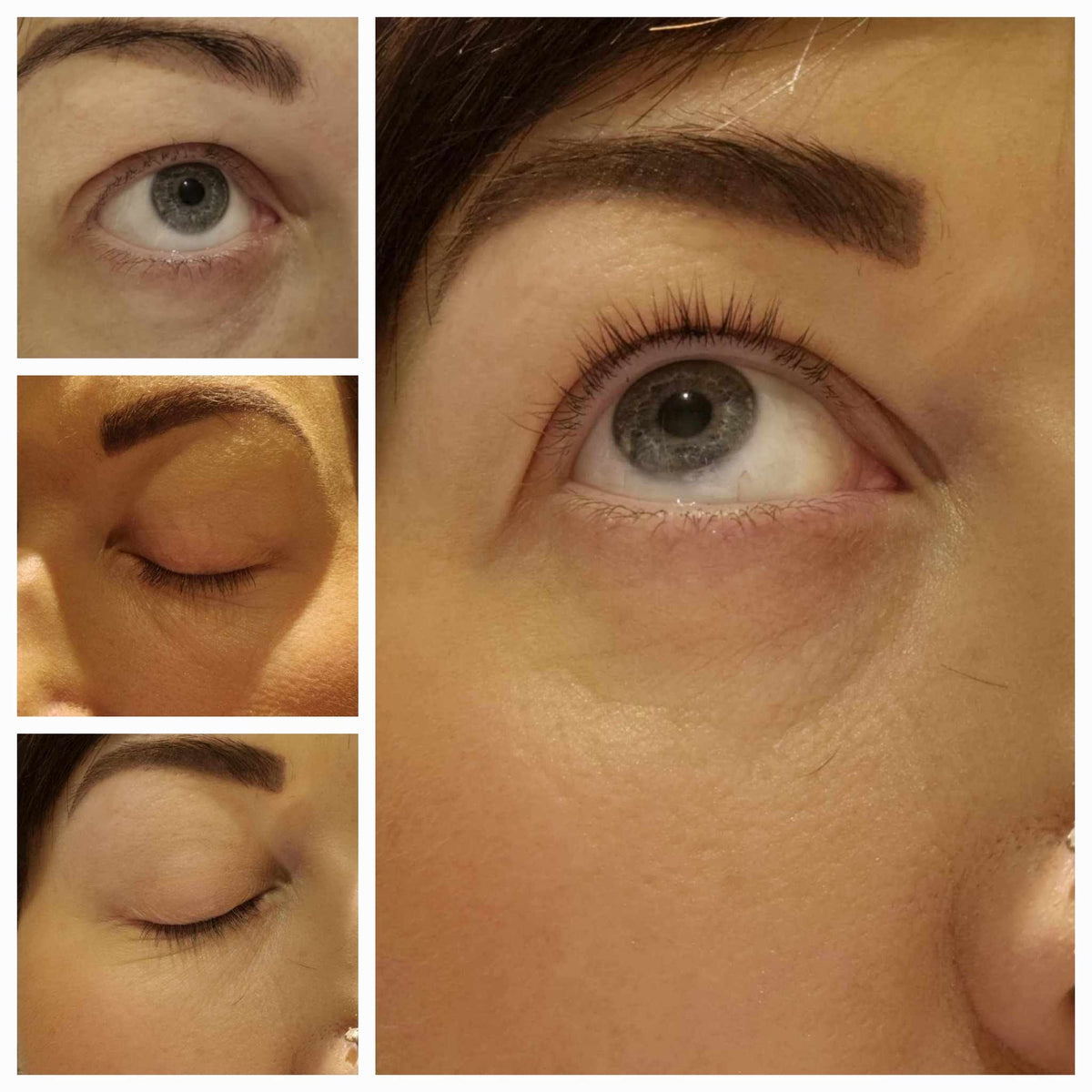 Lash & Brow Serum (6ml)
